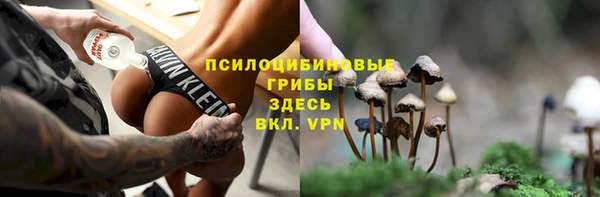 мет Абаза
