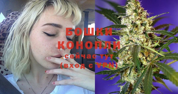 PSILOCYBIN Абдулино