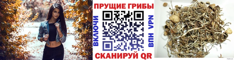 что такое   мега ССЫЛКА  Галлюциногенные грибы ЛСД  Чебаркуль 