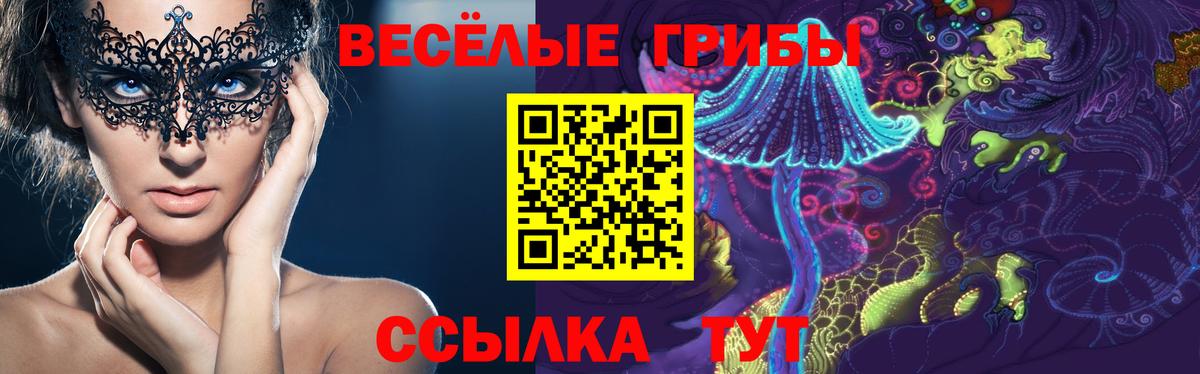 Псилоцибиновые грибы Cubensis Чебаркуль